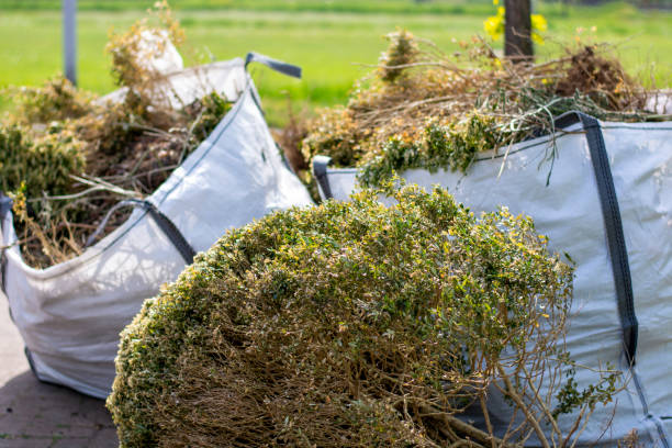 Best Electronics Removal Services  in Clara City, MN